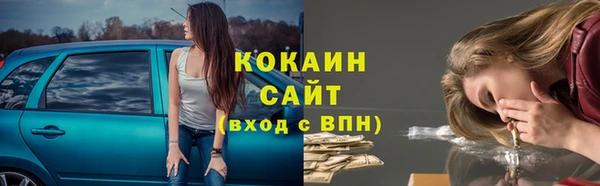 трава Корсаков