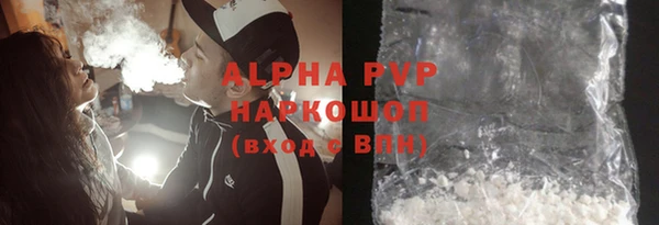 трава Корсаков